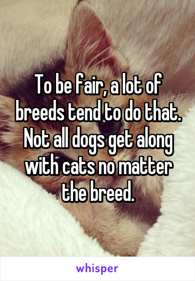 To be fair, a lot of breeds tend to do that. Not all dogs get along with cats no matter the breed.