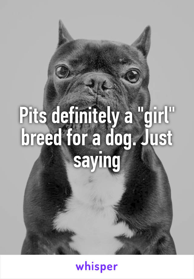 Pits definitely a "girl" breed for a dog. Just saying