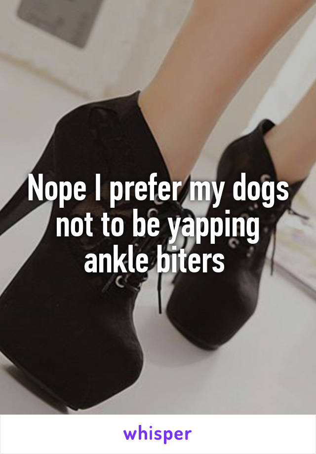 Nope I prefer my dogs not to be yapping ankle biters 