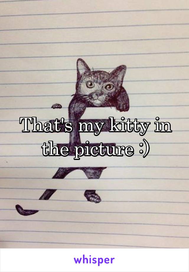 That's my kitty in the picture :)