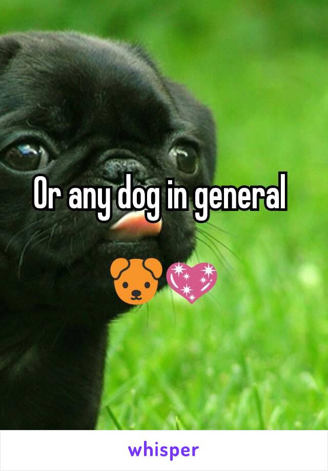 Or any dog in general 

🐶💖