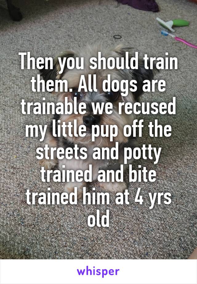 Then you should train them. All dogs are trainable we recused my little pup off the streets and potty trained and bite trained him at 4 yrs old