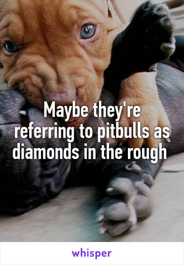 Maybe they're referring to pitbulls as diamonds in the rough 