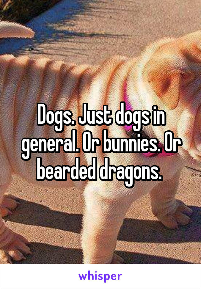 Dogs. Just dogs in general. Or bunnies. Or bearded dragons. 