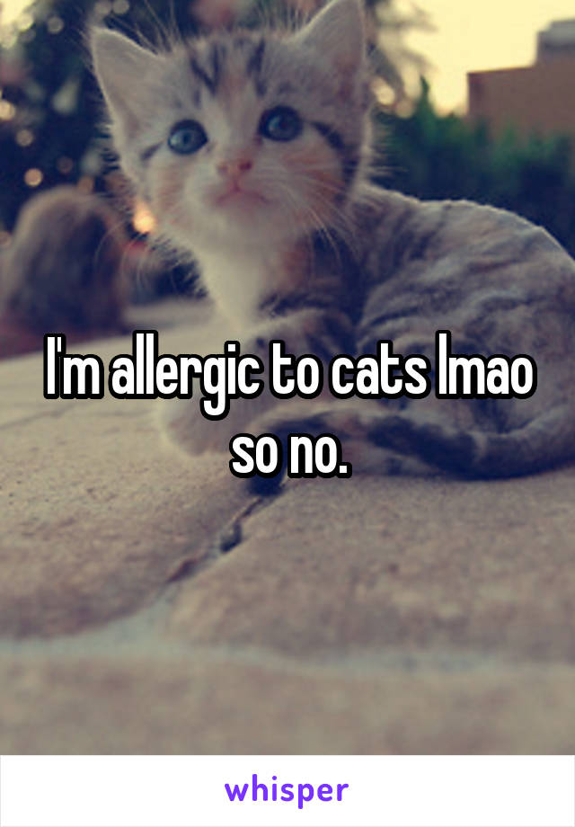 I'm allergic to cats lmao so no.