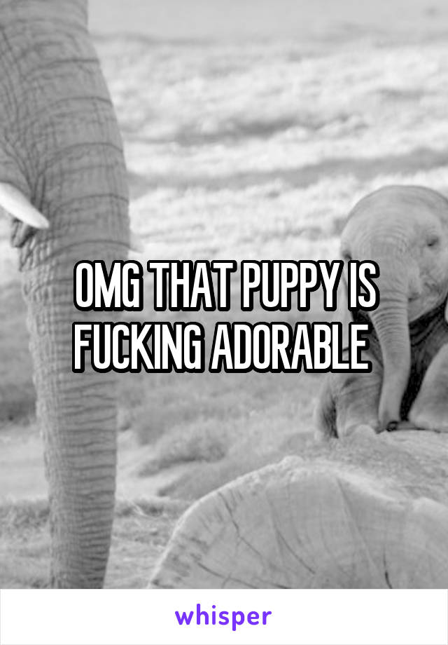 OMG THAT PUPPY IS FUCKING ADORABLE 