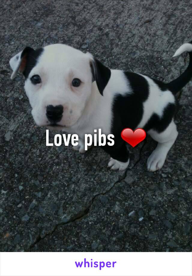 Love pibs ❤