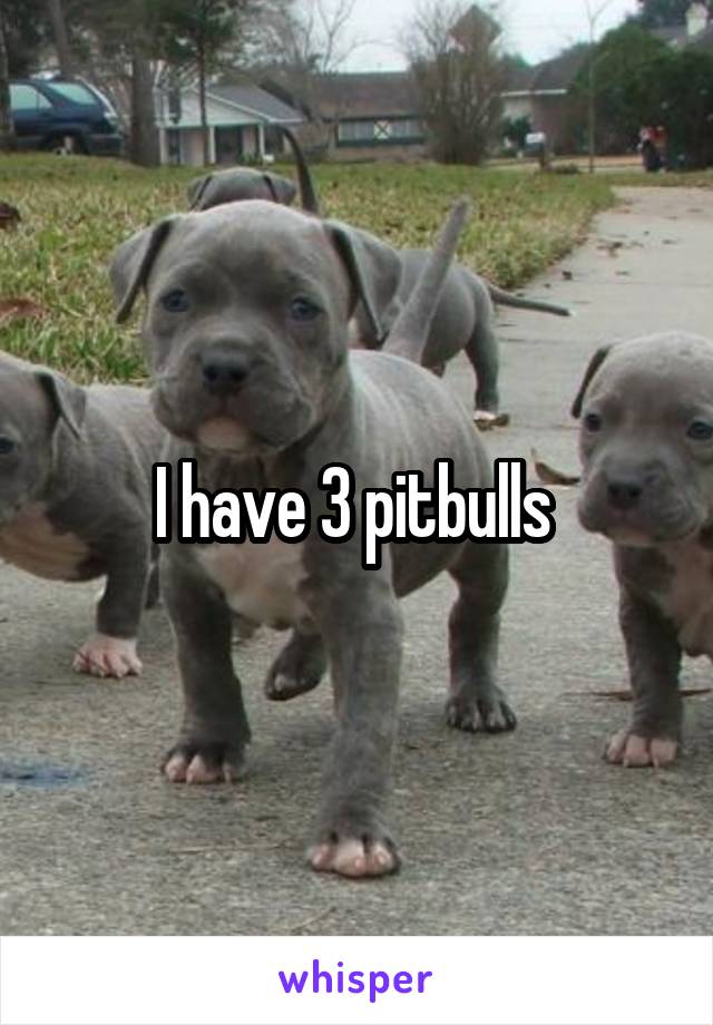 I have 3 pitbulls 