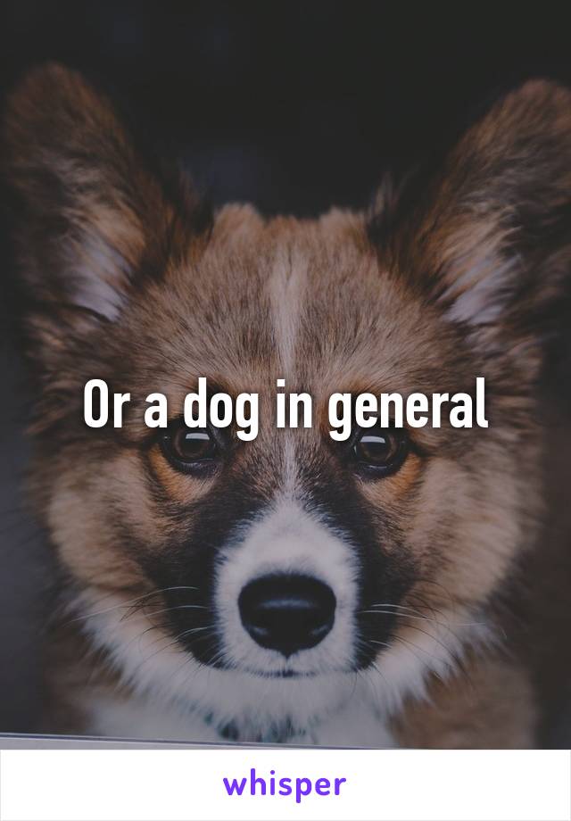 Or a dog in general