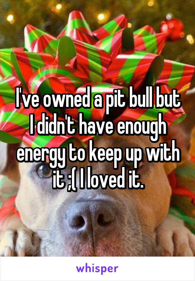 I've owned a pit bull but I didn't have enough energy to keep up with it ;( I loved it.