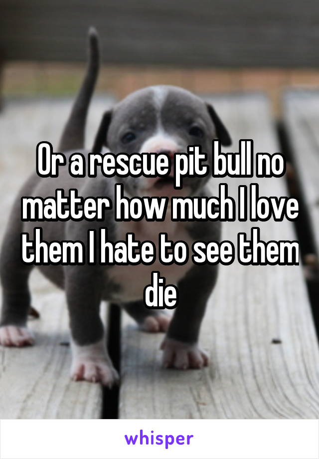 Or a rescue pit bull no matter how much I love them I hate to see them die