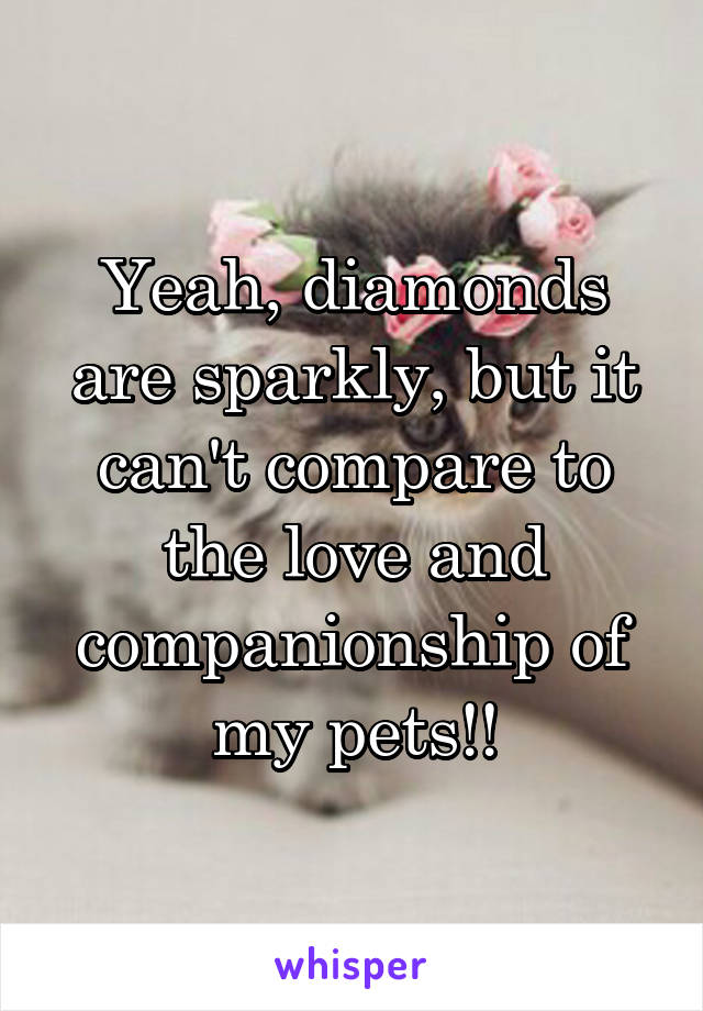 Yeah, diamonds are sparkly, but it can't compare to the love and companionship of my pets!!