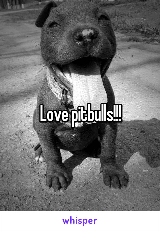 Love pitbulls!!!