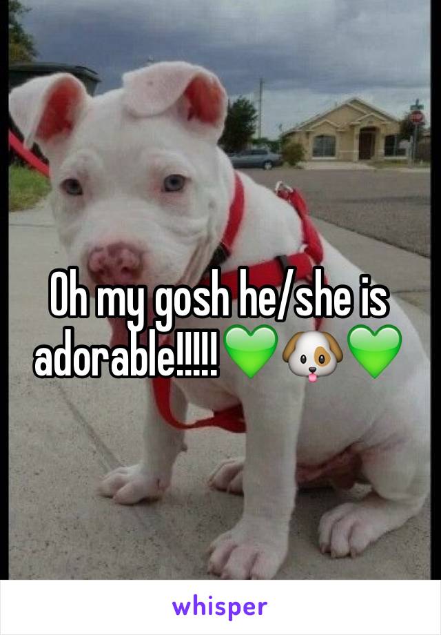 Oh my gosh he/she is adorable!!!!!💚🐶💚