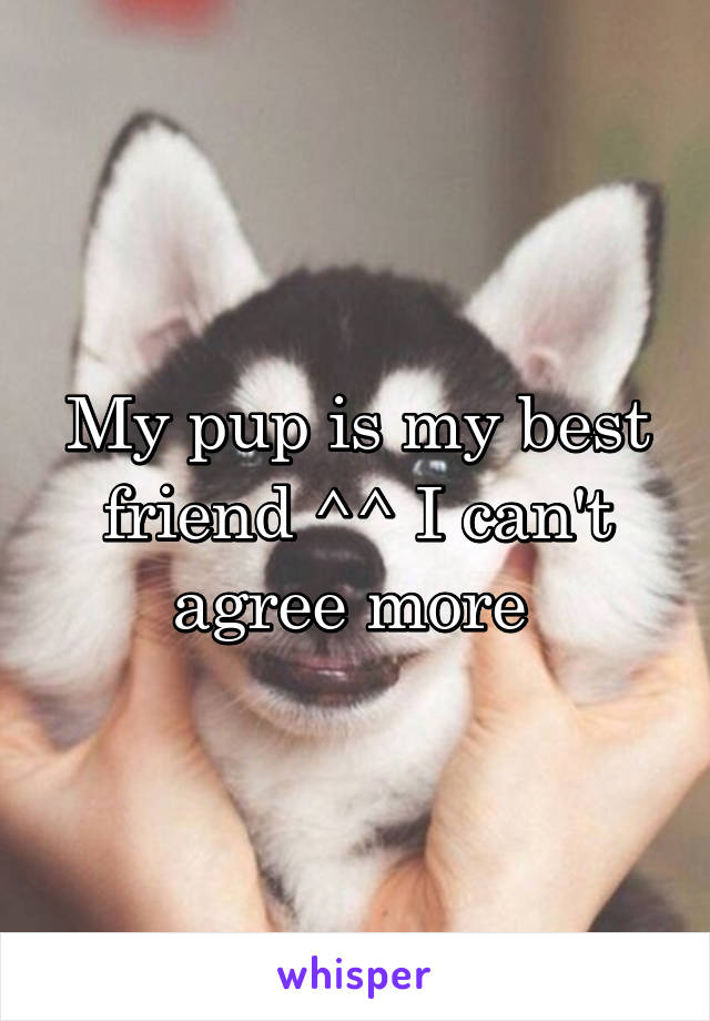 My pup is my best friend ^^ I can't agree more 