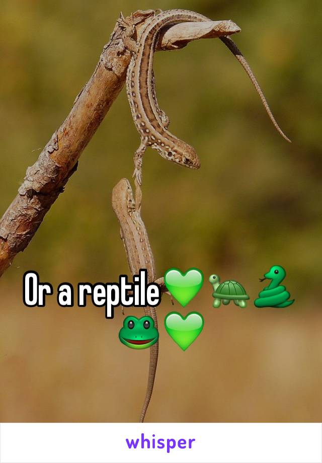 Or a reptile💚🐢🐍🐸💚