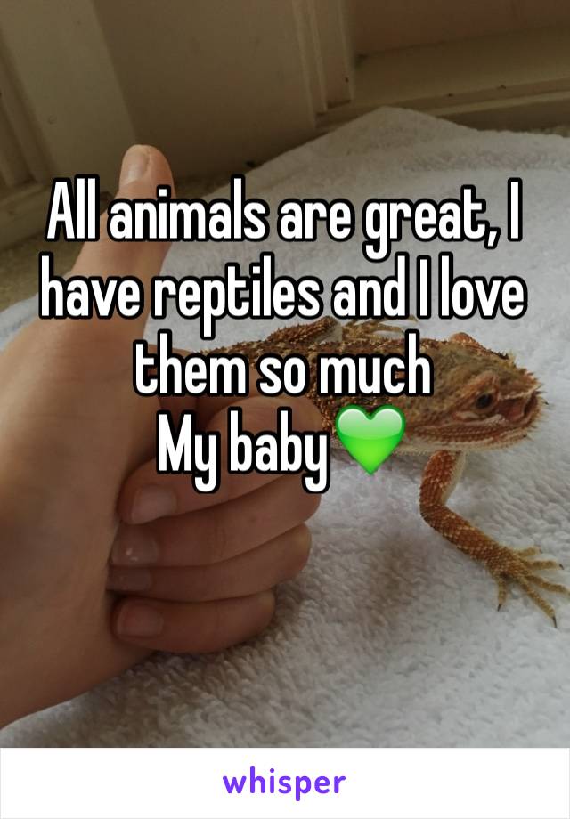 All animals are great, I have reptiles and I love them so much 
My baby💚