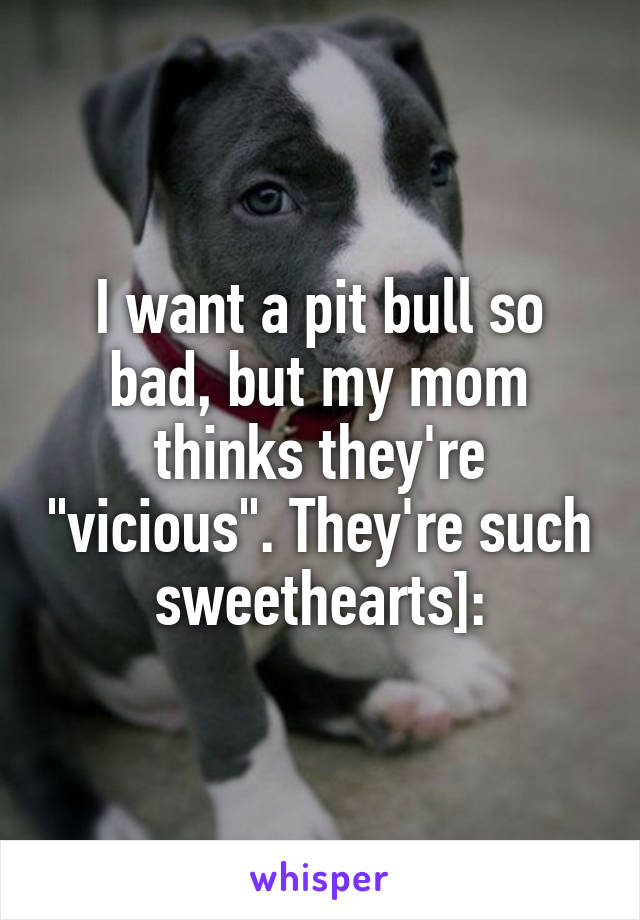 I want a pit bull so bad, but my mom thinks they're "vicious". They're such sweethearts]: