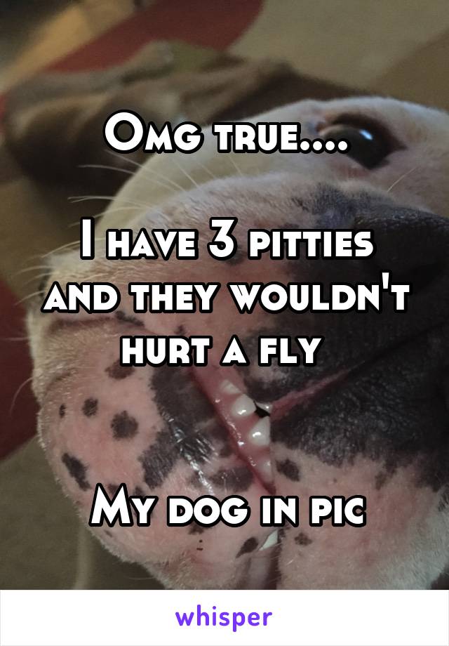 Omg true....

I have 3 pitties and they wouldn't hurt a fly 


My dog in pic