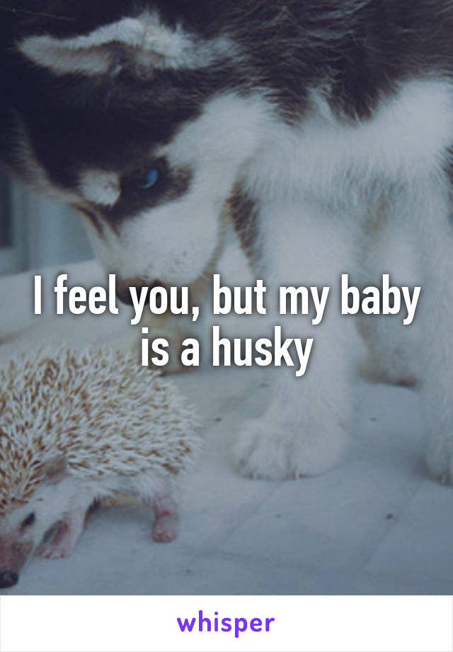 I feel you, but my baby is a husky