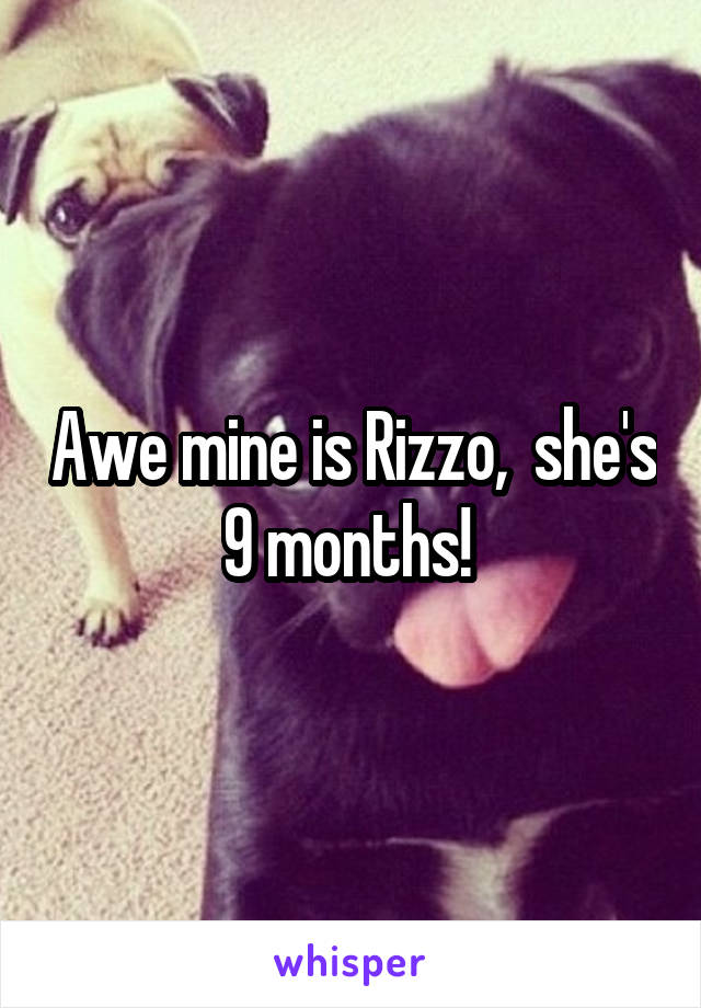 Awe mine is Rizzo,  she's 9 months! 