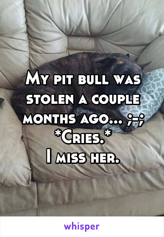 My pit bull was stolen a couple months ago... ;-; *Cries.*
I miss her.