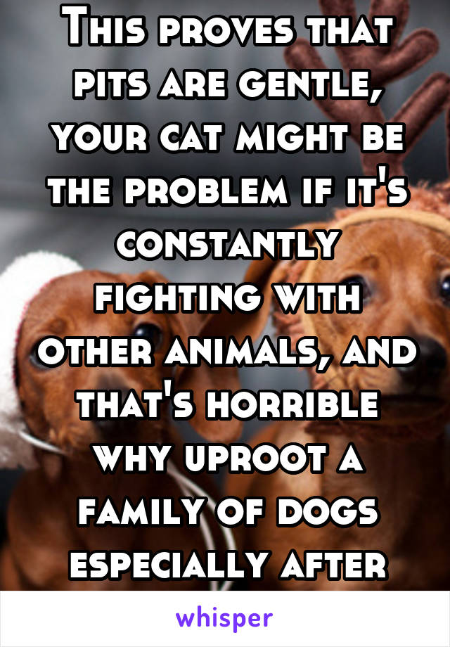 This proves that pits are gentle, your cat might be the problem if it's constantly fighting with other animals, and that's horrible why uproot a family of dogs especially after pups are born