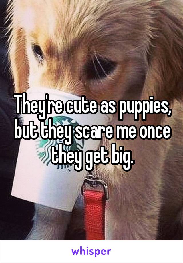 They're cute as puppies, but they scare me once they get big.