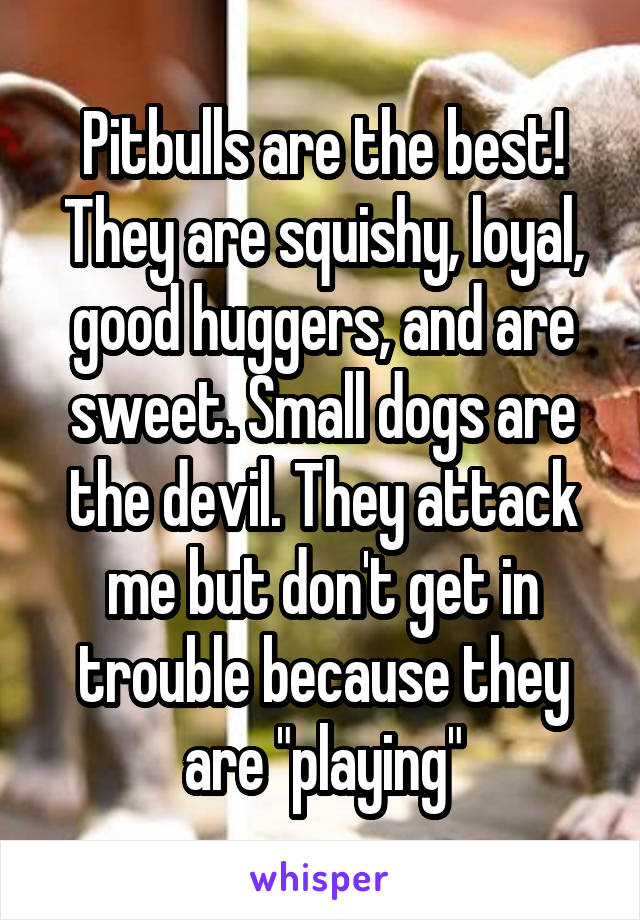 Pitbulls are the best! They are squishy, loyal, good huggers, and are sweet. Small dogs are the devil. They attack me but don't get in trouble because they are "playing"