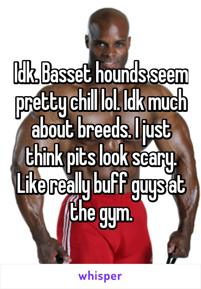 Idk. Basset hounds seem pretty chill lol. Idk much about breeds. I just think pits look scary. Like really buff guys at the gym.