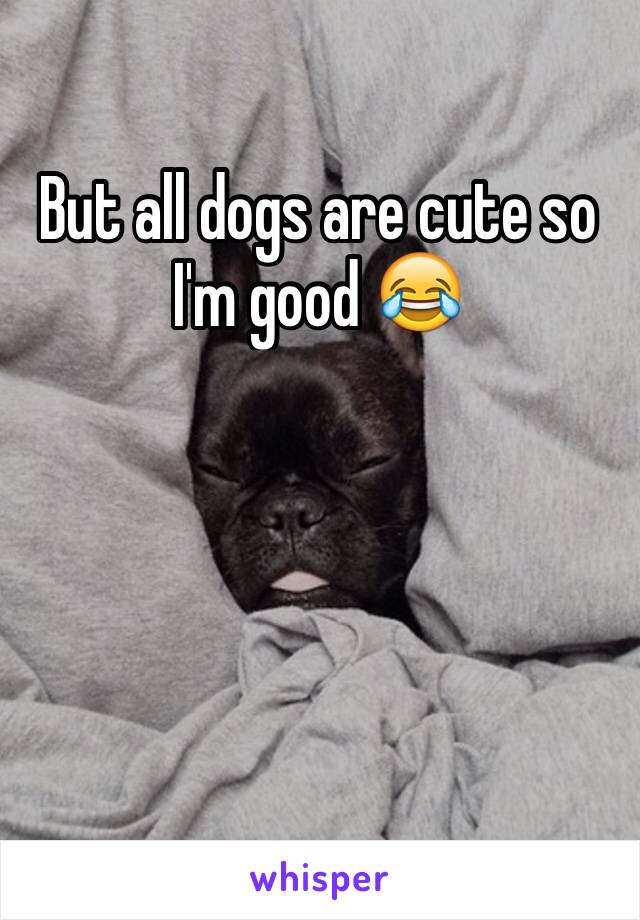 But all dogs are cute so I'm good 😂