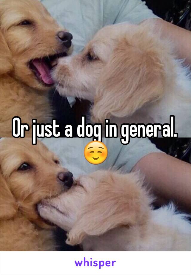 Or just a dog in general. ☺️