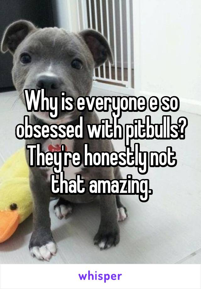 Why is everyone e so obsessed with pitbulls? They're honestly not that amazing.