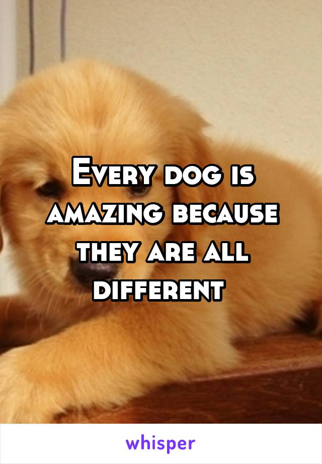 Every dog is amazing because they are all different 