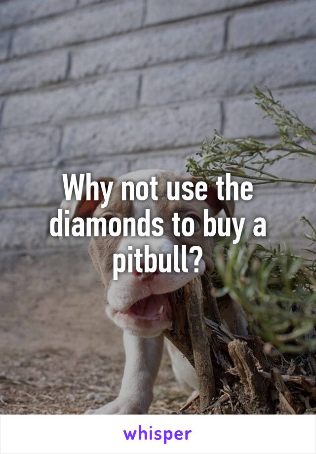 Why not use the diamonds to buy a pitbull?