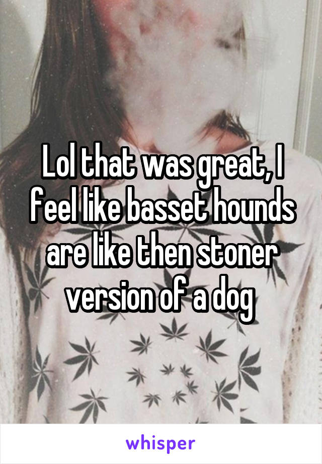 Lol that was great, I feel like basset hounds are like then stoner version of a dog 