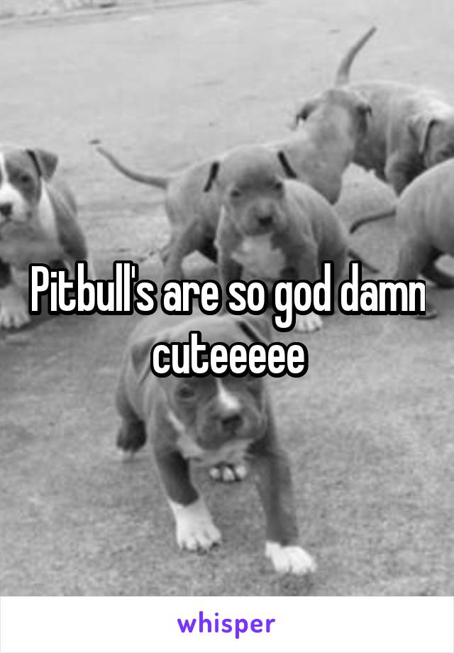 Pitbull's are so god damn cuteeeee