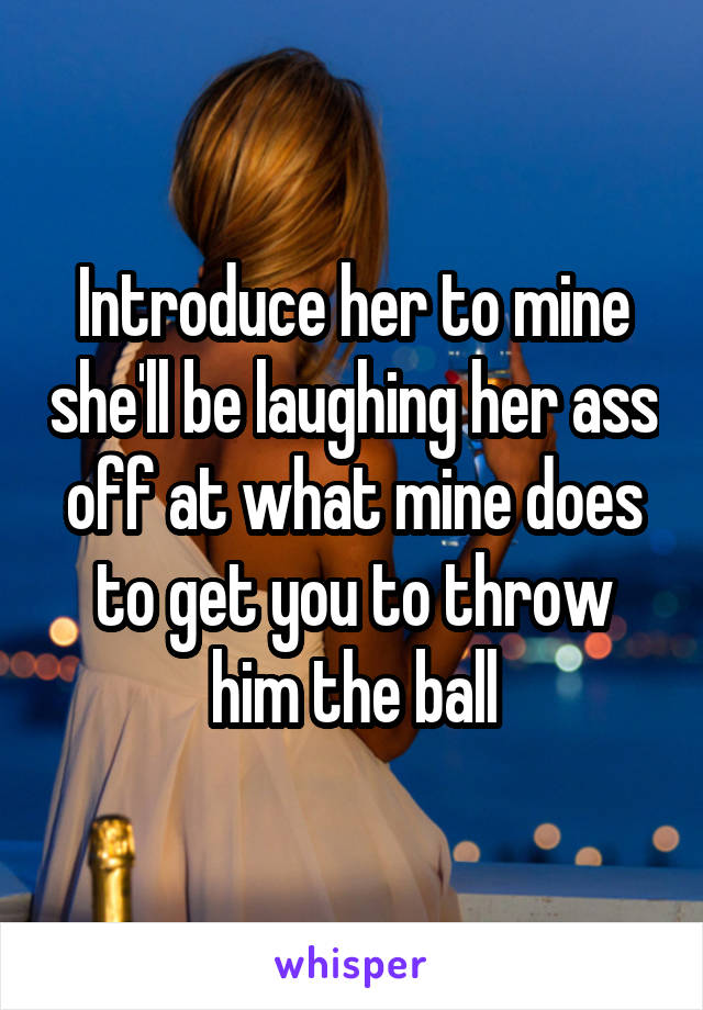 Introduce her to mine she'll be laughing her ass off at what mine does to get you to throw him the ball