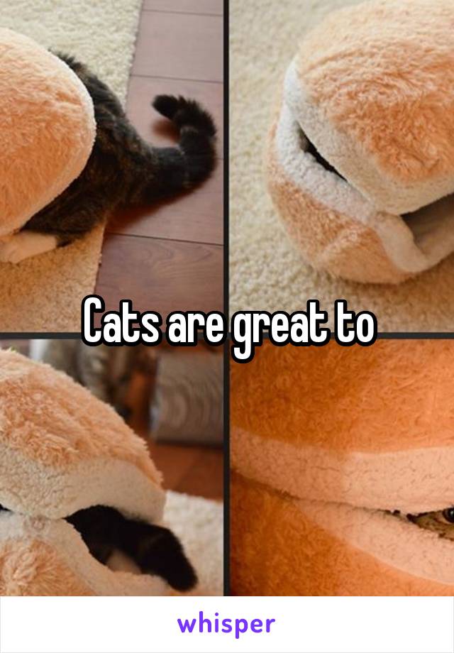 Cats are great to