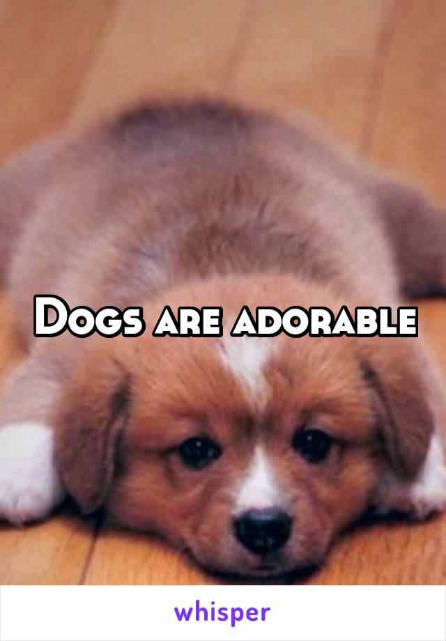 Dogs are adorable