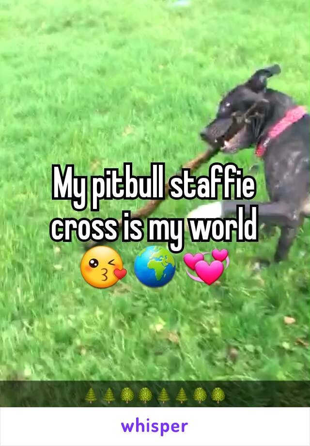 My pitbull staffie cross is my world     😘🌍💞