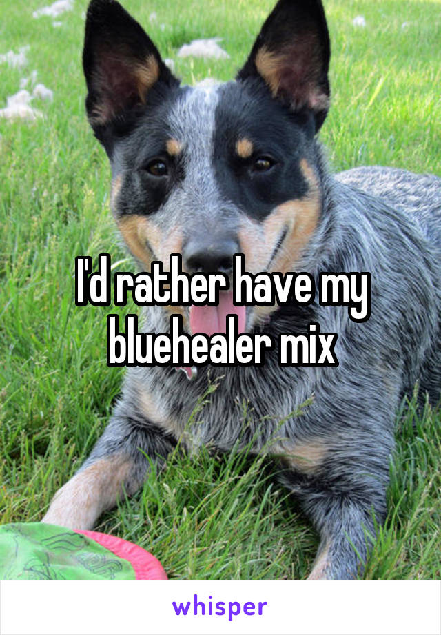 I'd rather have my bluehealer mix