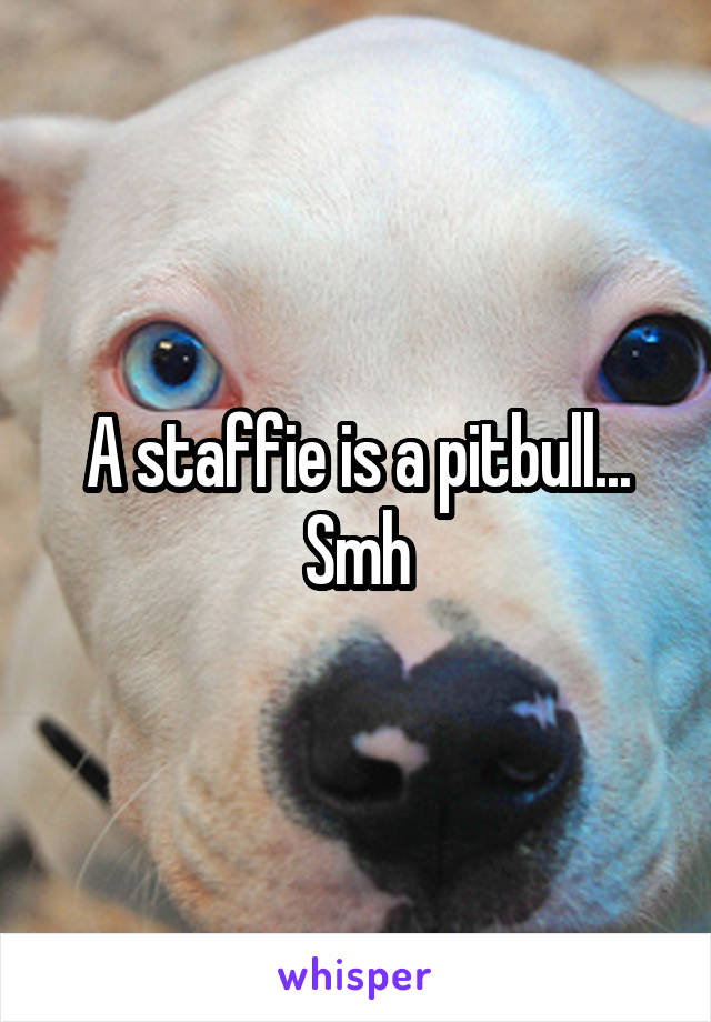 A staffie is a pitbull... Smh