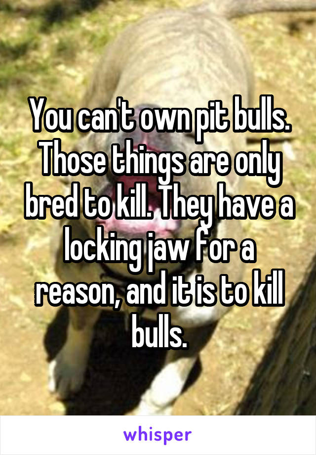 You can't own pit bulls. Those things are only bred to kill. They have a locking jaw for a reason, and it is to kill bulls.