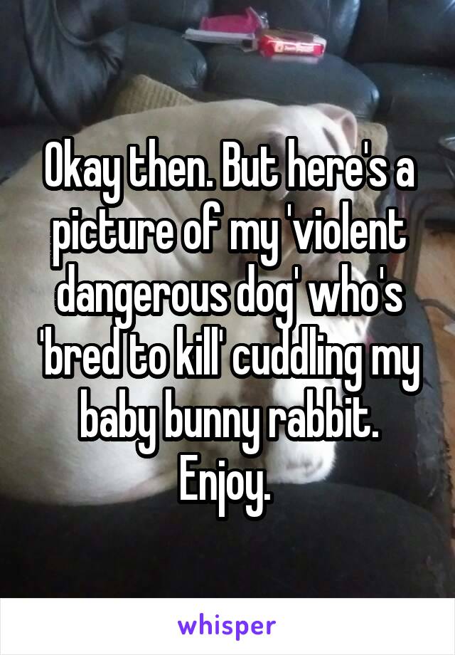 Okay then. But here's a picture of my 'violent dangerous dog' who's 'bred to kill' cuddling my baby bunny rabbit. Enjoy. 