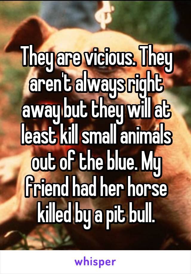 They are vicious. They aren't always right away but they will at least kill small animals out of the blue. My friend had her horse killed by a pit bull.