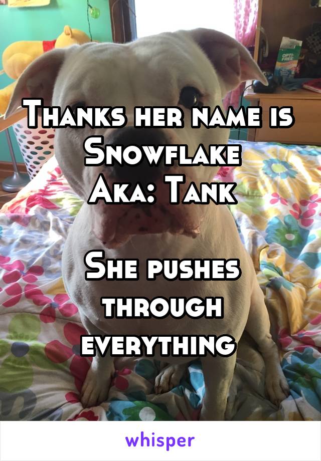 Thanks her name is 
Snowflake
Aka: Tank

She pushes through everything 