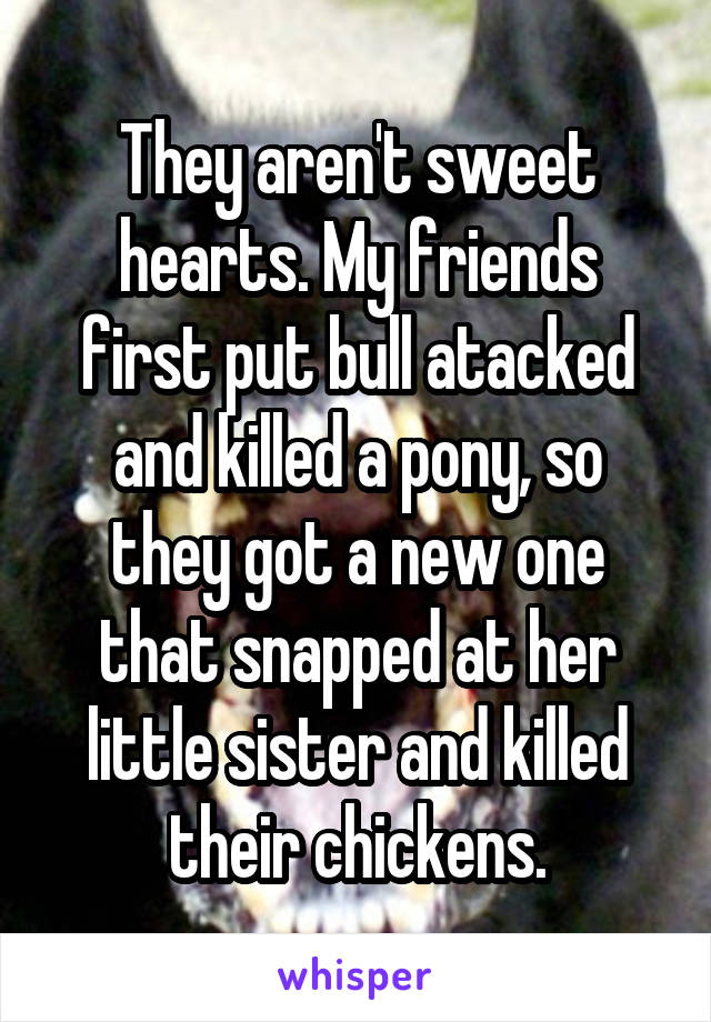 They aren't sweet hearts. My friends first put bull atacked and killed a pony, so they got a new one that snapped at her little sister and killed their chickens.