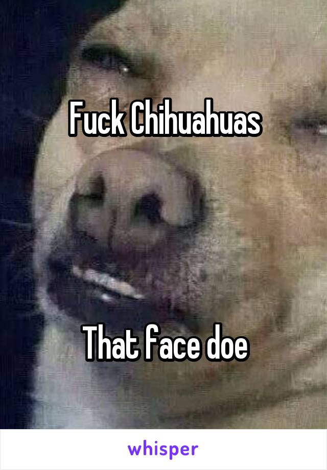 Fuck Chihuahuas




That face doe