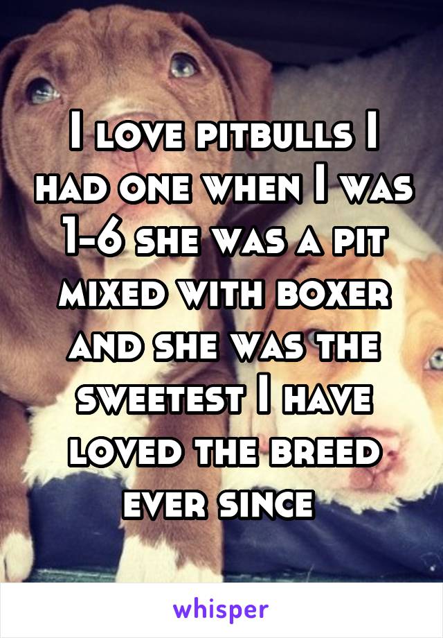 I love pitbulls I had one when I was 1-6 she was a pit mixed with boxer and she was the sweetest I have loved the breed ever since 